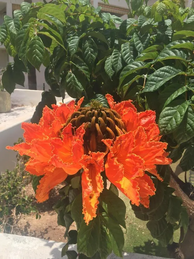 Las Brisas Complex, Villa 104 Playa Blanca