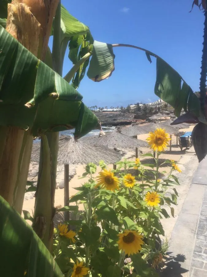 Las Brisas Complex, Villa 104 Playa Blanca  0*, Playa Blanca (Lanzarote) Spain